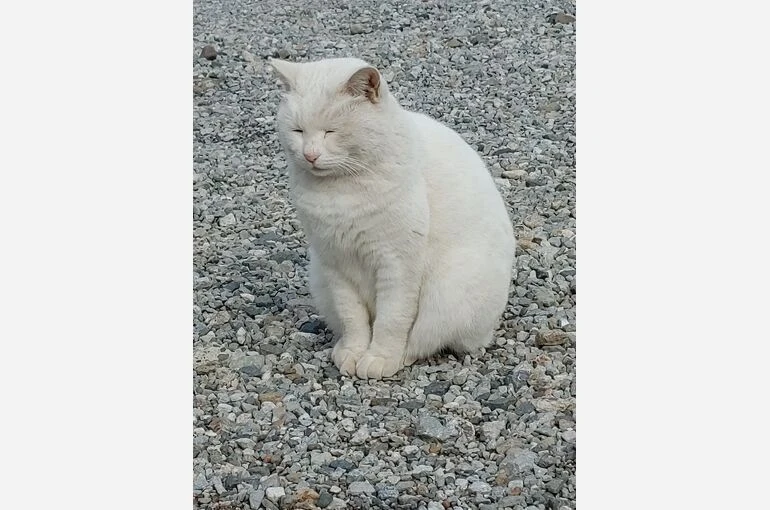 IMG00067